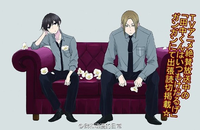 田中君总是如此慵懒官方插图穿正装的田中和太田好看炸了