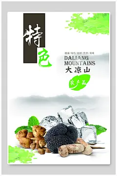 绿色土特产海报