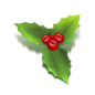 圣诞冬青PNG图标