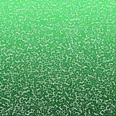 深绿色水泡底纹 创意素材
