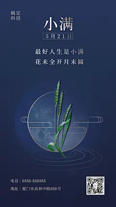 小满暗金地产风手机海报