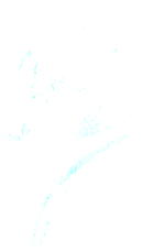 奈奈20210116采集到字体