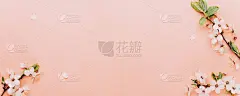 樱桃树开花。四月的花的自然和春天的樱花盛开在柔和的粉红色的背景。3月8日的横幅，复活节快乐，有文字的