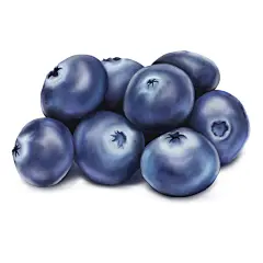 Blueberry 项目 | Behance 上的照片、视频、徽标、插图和品牌