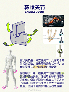 落叶-叶子采集到动