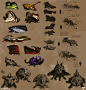 daniel-chavez-moth-exploration