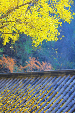 春息采集到美图