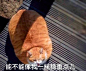我现在好饿，千万别在下面评论美食的照片 ​​​​