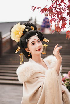 杨树丶采集到美女