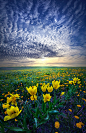 Spring Fever : Wisconsin Horizons by Phil Koch.
Lives in Milwaukee, Wisconsin, USA.