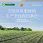 觅菓A+有机大夏威夷果仁400g孕妇零食大果高档-tmall.com天猫