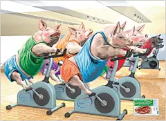 广告海报-家禽篇趣味食品广告作品欣赏 #采集大赛#