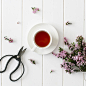 Victoria (@the.life.so.beautiful_)'s Instagram Profile on Tofo.me: Instagram Online Viewer