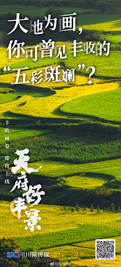 KLpm采集到海报-图文