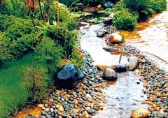 糖醋排骨0o0采集到水沟水渠