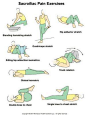 Physical Therapy Exercises In Pictures | Physical Therapy Online -- after too much exercise and/or thinking too much of exercising gives  pain in the ...