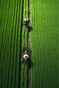 wty_loo采集到节气背景素材