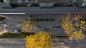 一条生长的街道博物馆：华西坝大学路城市微更新 / Lab D+H SH – mooool木藕设计网