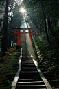 Gate to prayer, Fushimi Inari Taisha Shrine, 伏見稲荷大社　Kyoto, Japan #美景# #摄影师# #城市#