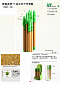 降解淀粉+可再生竹子环保笔
