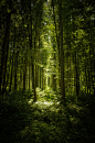 (4) Tumblr