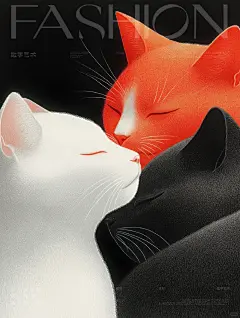 猫 - 小红书