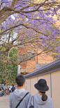 狐狸水晶糖的空间 [http://3263356658.qzone.qq.com]