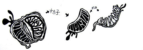 橘子