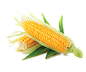 玉米