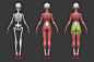 Stylized Female Anatomy 