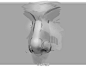 #绘画参考#写实人物鼻子的画法技巧讲解，鼻子一直是人物五官画法重点，也是难点，有兴趣的可以自己收藏，转需吧~（作者：@毕泰玮）