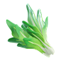 Spinach 3D Illustration