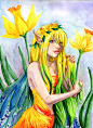 Daffodil Fairy