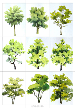 Calf丶小可采集到【树，植物设定】