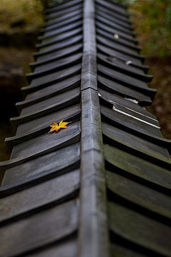 spot of color; Japan...