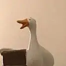 0z6qmPPp