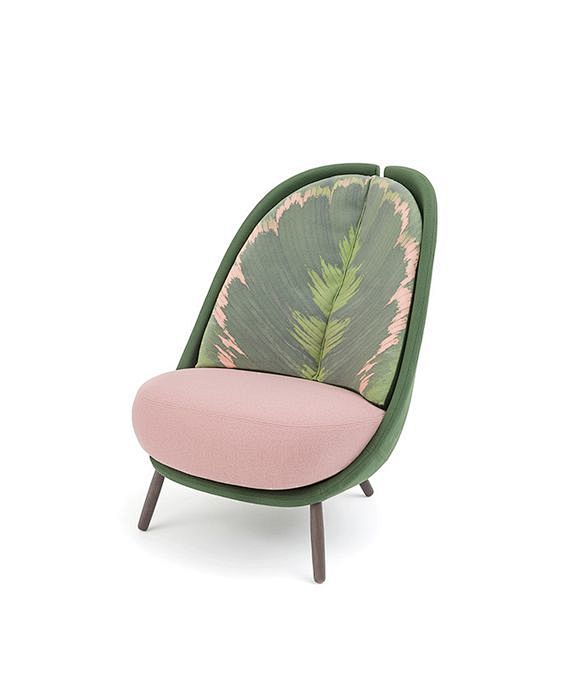 Calatea | Design | C...