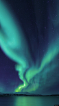 北极光 极光 空中 夜空 绿色 光 风景摄影图片图片壁纸