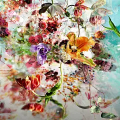 Isabelle Menin创作的花卉作品不仅在形式和颜色上非常华丽，而且在拍摄手法上也独一无二。她利用达达主义的表现手法，使鲜艳或者凋零的花朵在后期特殊处理下相互融合，倒映在水面上，在灯光的作用下呈现出如画一般的渲染效果。