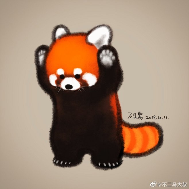 不是浣熊！丨 是小熊猫 丨 食肉目→小熊...