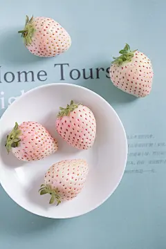 一尘不染的真心-西瓜