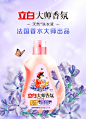 立白大师香氛洗衣液薰衣草持久留香洁净护色去顽渍 【薰衣草香】大师香氛液2kg【图片 价格 品牌 报价】-京东
