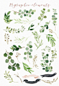 【近百种手绘植物的表现形式！】绘制植物插画的时候用得到哦。

#啊！设计# ​​​​