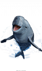 写实风格手绘白鳍豚海豚免抠png元素,写实手绘动物,手绘江豚,手绘海洋动物,动物保护