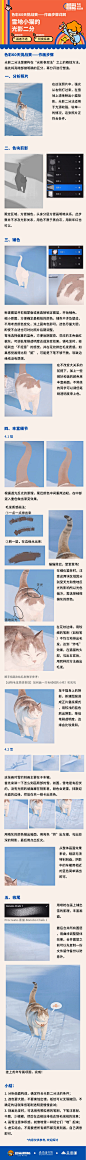 作画步骤解析-雪地小猫的光影二分 @阿侯系锦
