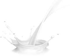 guawom采集到牛奶奶液