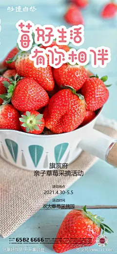 草莓亲子采摘活动海报-源文件-志设网-zs9.com