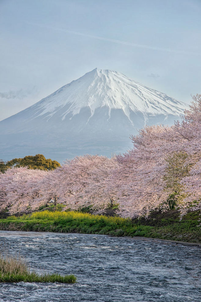 Yuga Kurita：富士山肖像图