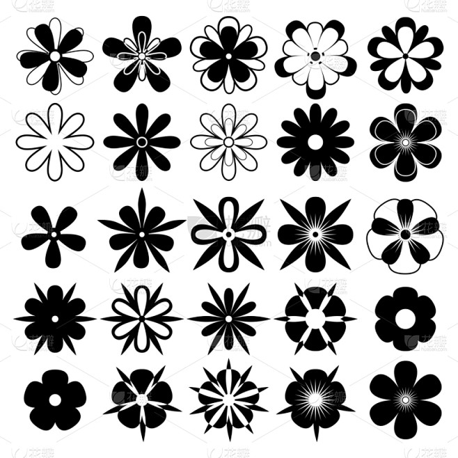 黑白图片,个人计算机,数字25,花,布置
