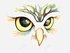 猫头鹰 创意素材